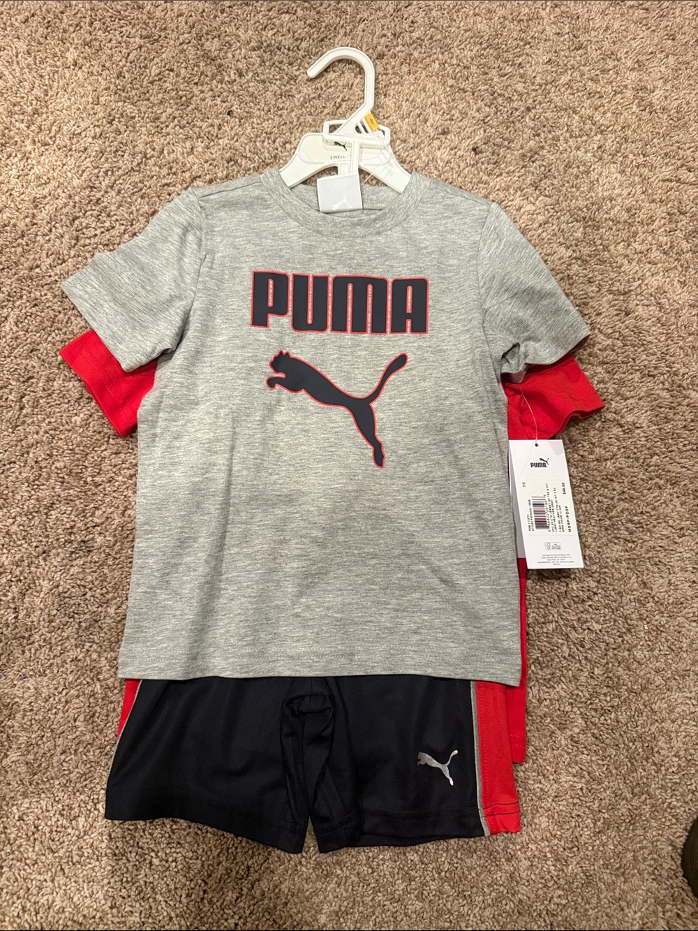 Puma